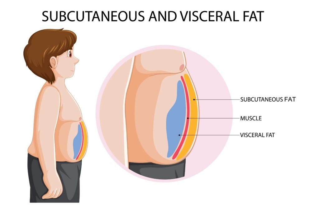 पोटाची चरबी (Belly Fat)
