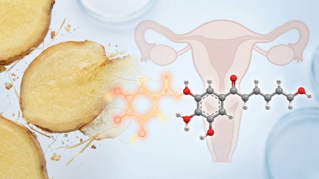 Scientific visualization of 6-gingerol inhibiting prostaglandins for period pain relief.
